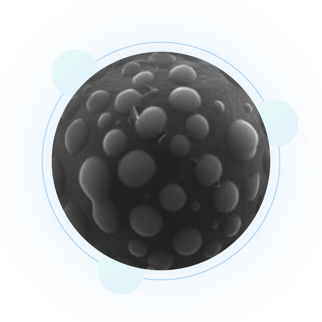 Polyamide 12 & PMSQ